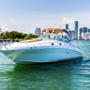 Sea Ray 340 Miami Charter