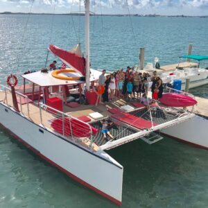 50 Catamaran